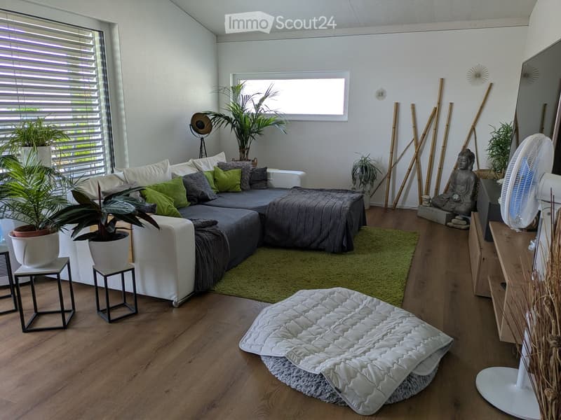 Modern living room with a grey sectional sofa, white ottoman, side tables, floor lamp, fan, decorative statue, green rug, and potted plants.