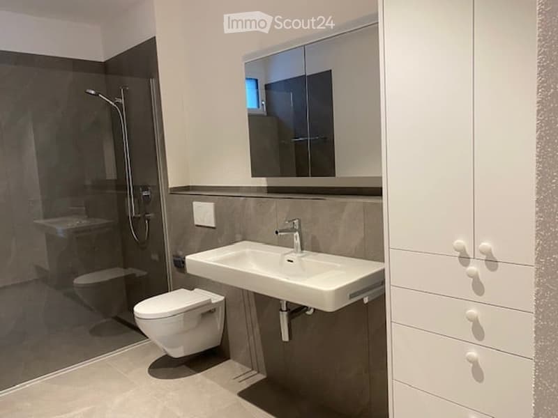 Modern bathroom with a white sink, chrome faucet, large mirror, toilet, and a glass-enclosed shower area.