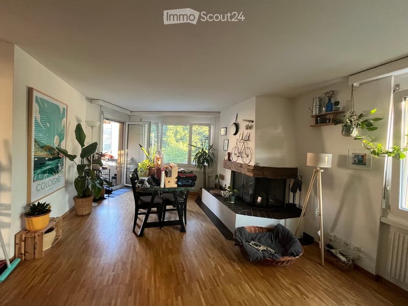 A well-lit living room with wooden flooring, a fireplace, a dining table with chairs, and several potted plants. There is a floor lamp, a picture frame on the wall, and a shelf with decorative items.
