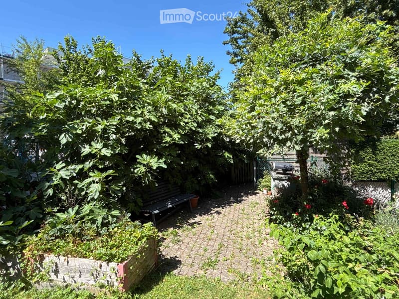 A lush garden with a gravel pathway, wooden bench, raised garden bed, and barbecue area surrounded by trees and flowering plants.