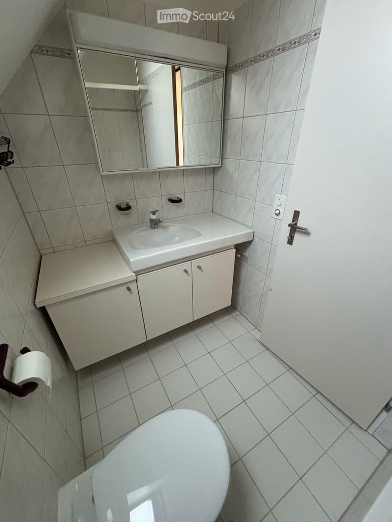 Helle, charmante 2.5-Zimmer-Dachwohnung in Zürich Albisrieden (6)