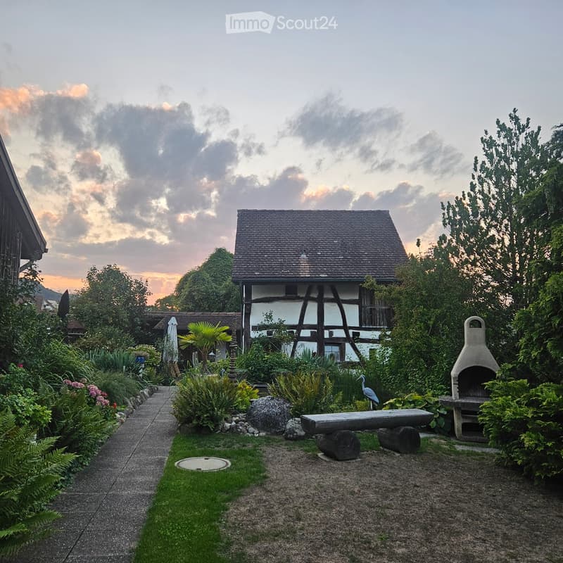 Garden with a stone bench, a bird, a grill, and lush greenery, leading to a traditional house with a tiled roof.