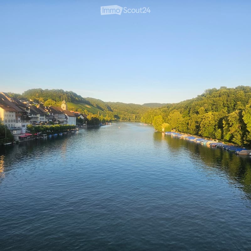 A serene river view with calm water, surrounded by lush green trees and hills, with buildings and boats along the riverbanks.