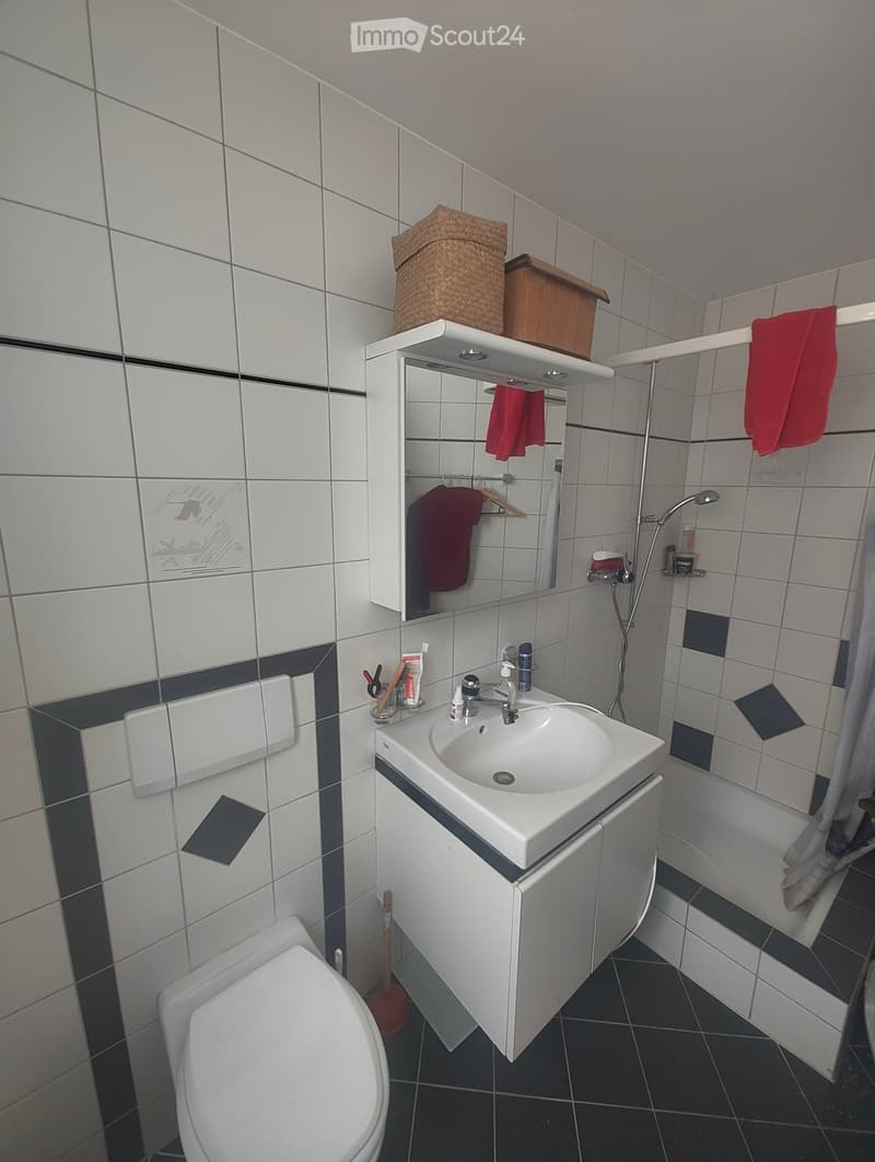 Modern bathroom with white tiles, a sink with a cabinet, a toilet, a shower area, and a mirror with a shelf holding a basket and a wooden box. Red towels are hanging on the side.