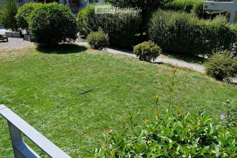 Well-maintained lawn with trimmed bushes, small plants, and a pathway leading to the house.