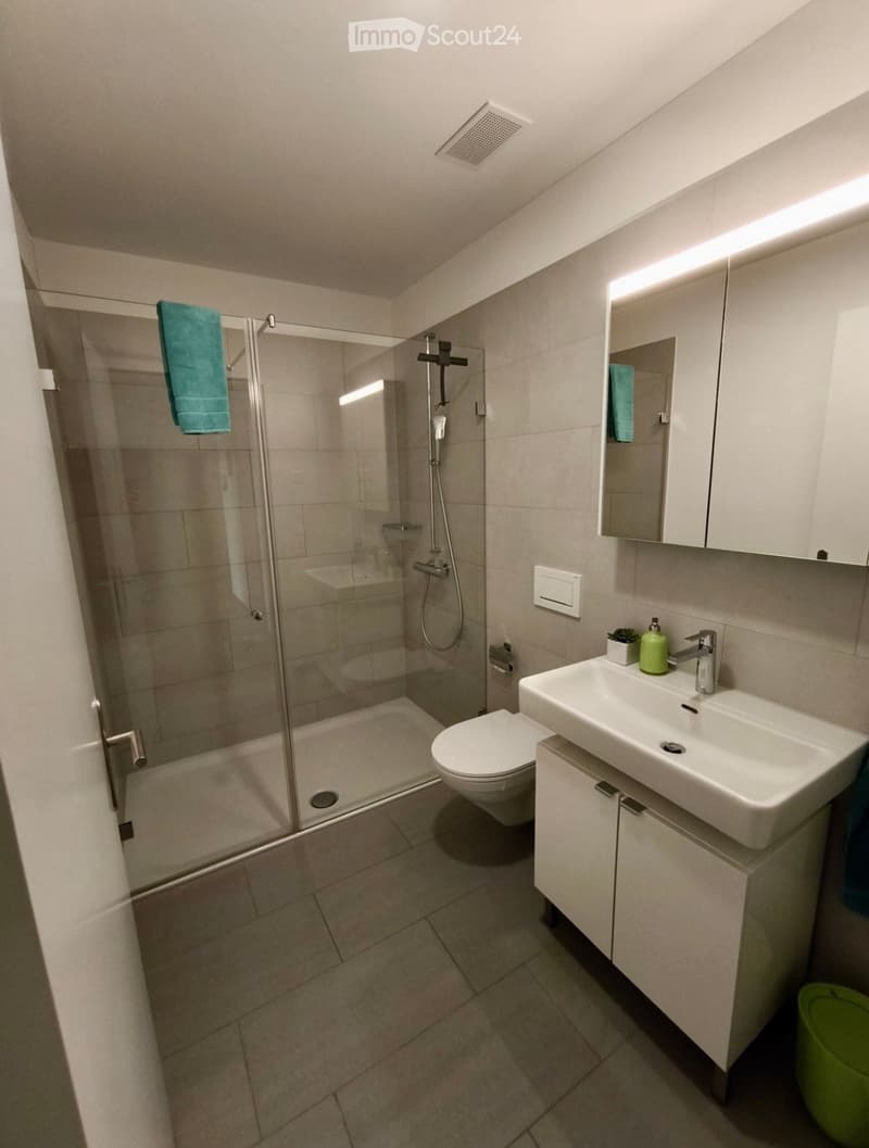 Modern bathroom with a glass-enclosed shower, a white sink with a modern faucet, a toilet, a mirrored cabinet, and a towel hanging on the shower door.