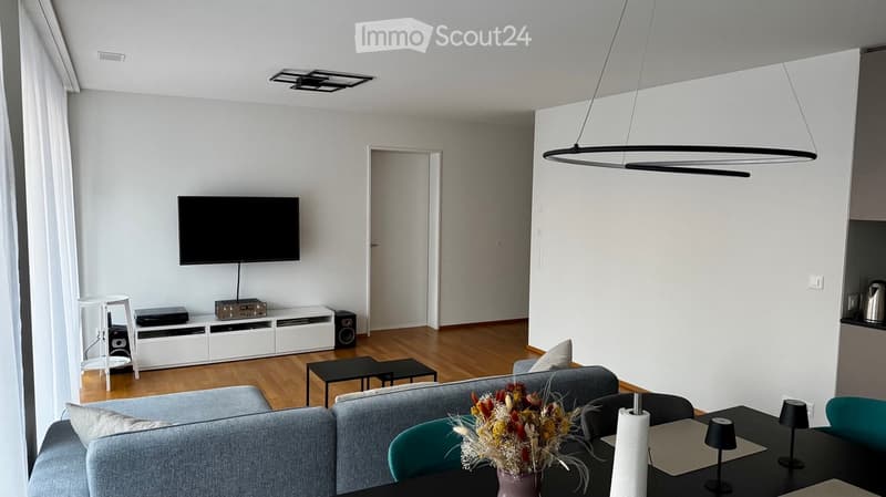 Modern living room with grey sectional sofa, coffee table, TV, entertainment unit, and decorative flower vase.