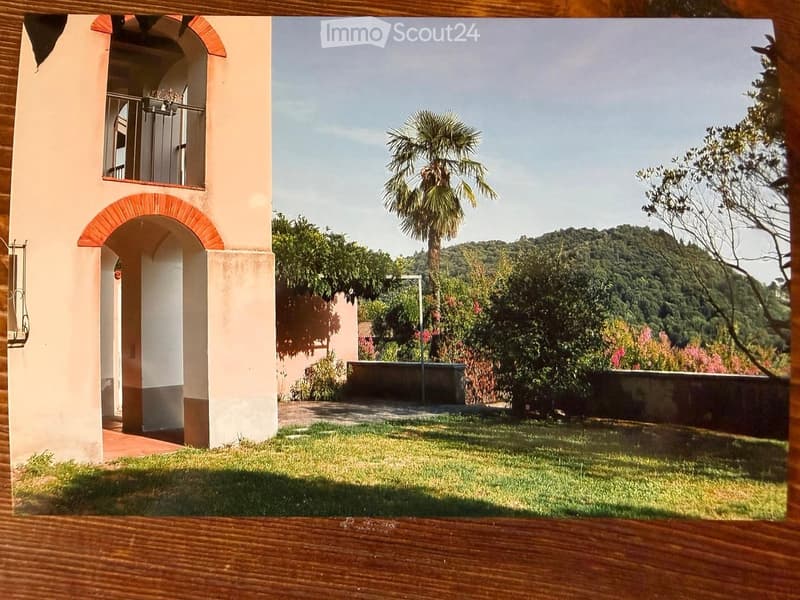 A well-maintained garden with a grassy lawn, a palm tree, and a view of a hilly landscape with trees and shrubs.