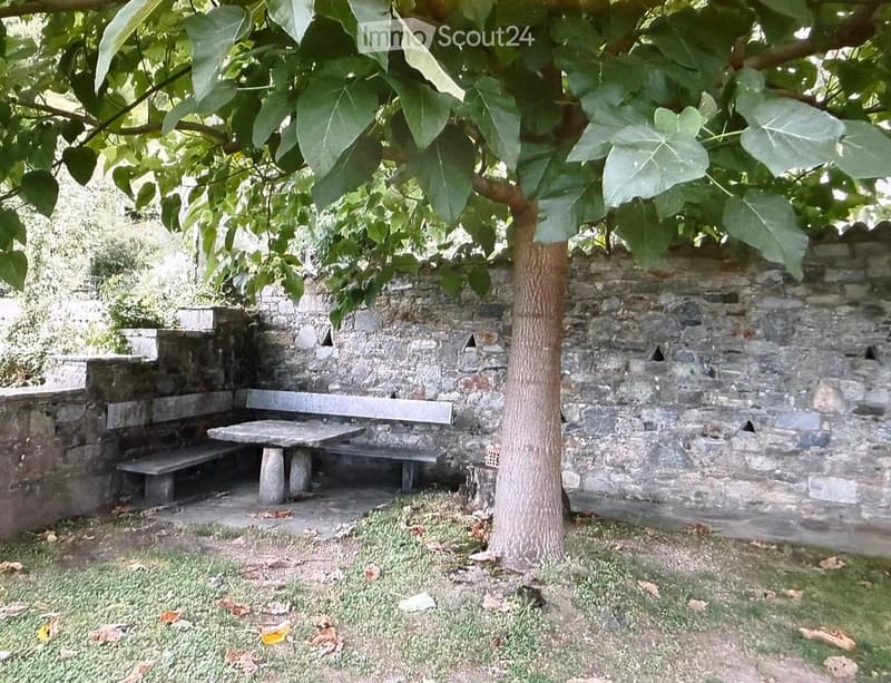 A serene garden area with a stone bench, a small table, and a tree providing shade. The setting includes a stone wall and grassy ground.