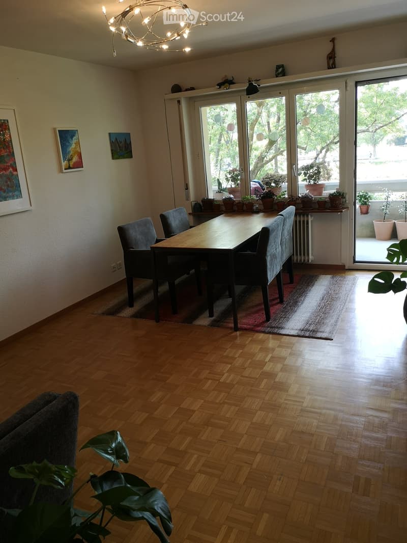 Bright living and dining area with wooden flooring, large sliding glass doors leading to a balcony, a sofa, dining table with chairs, and potted plants.