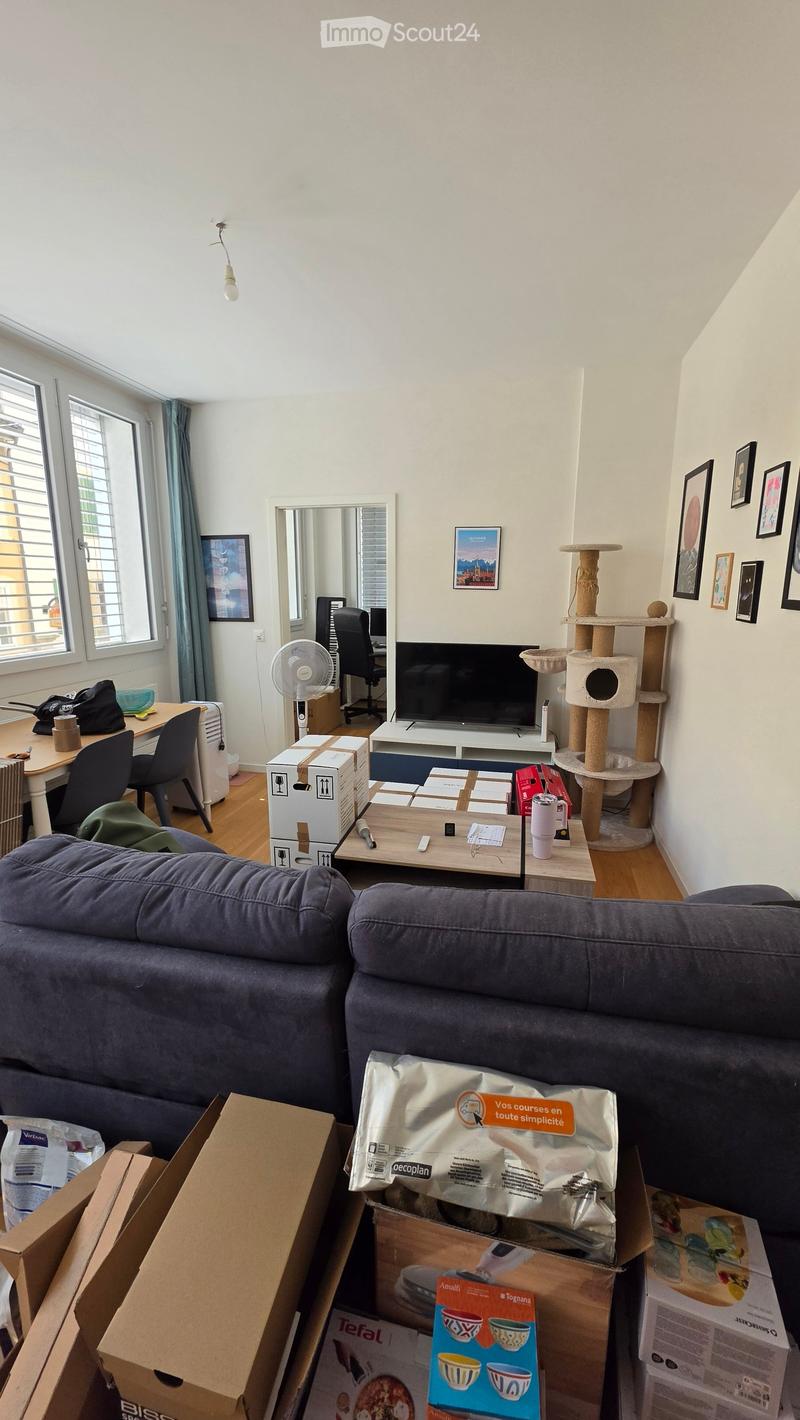 Living room with a grey sofa, coffee table, cat tree, fan, desk with laptop, television, and several boxes scattered around.