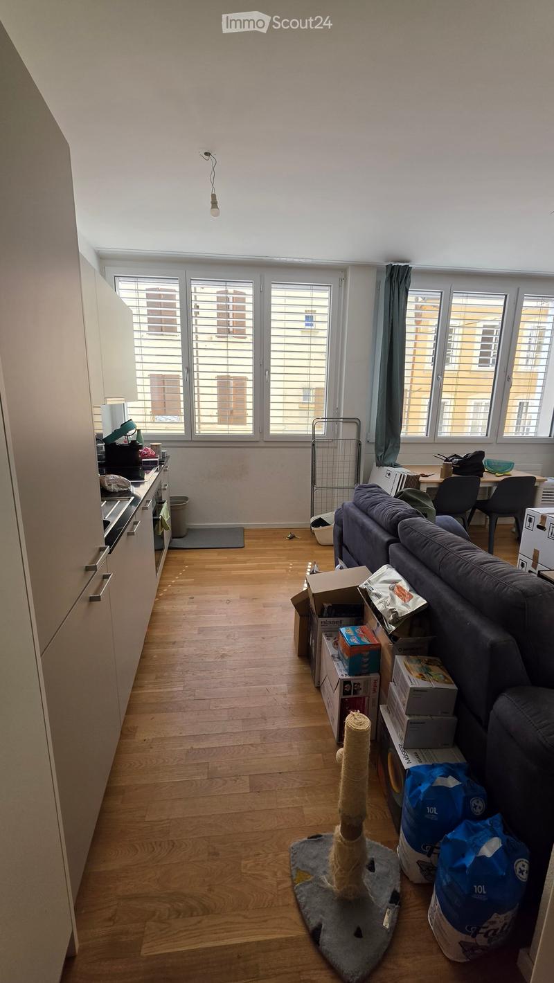 Open-plan living and kitchen area with wooden flooring, large windows, sofa, cat tree, kitchen cabinets, and a small dining area.