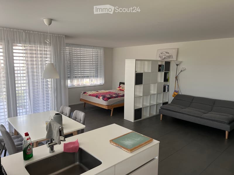A modern, multi-functional room with a bed, sofa, dining table, chairs, and a small kitchen area featuring a sink, faucet, and countertop.