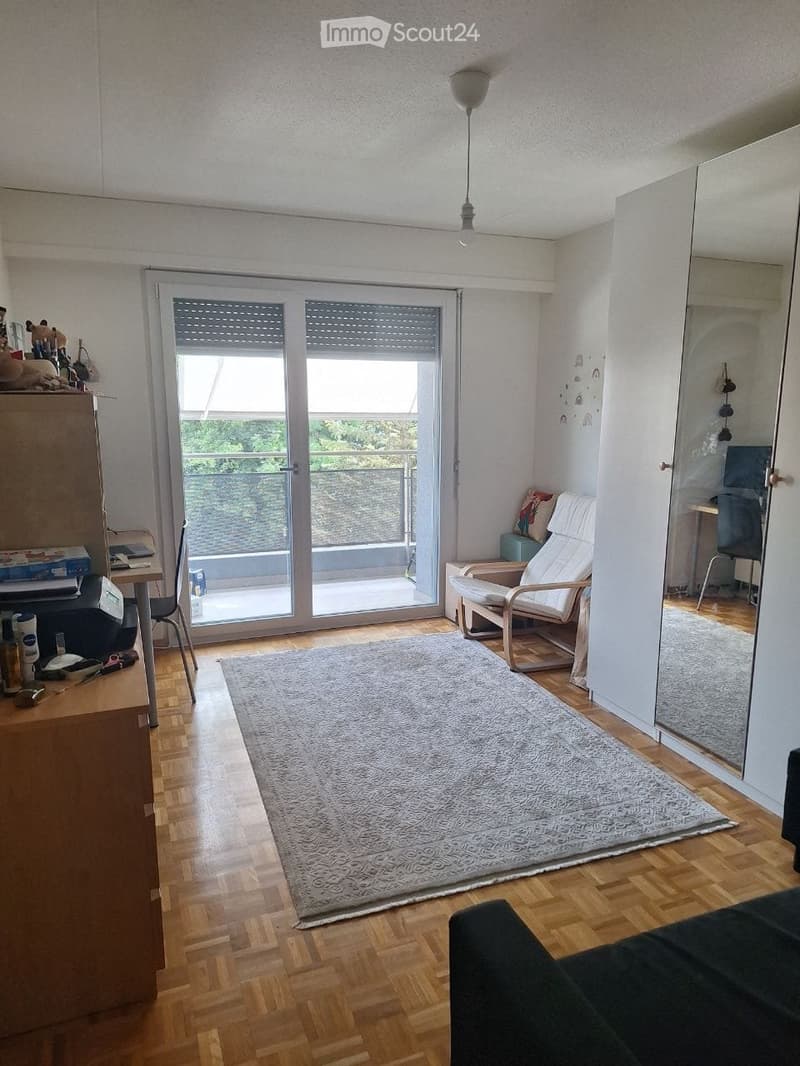 A modern living room with wooden flooring, a large grey rug, a dark sofa, a white armchair, a small table, and a sliding glass door leading to a balcony.