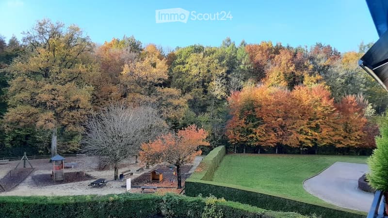 A view of a park-like garden area with autumn-colored trees, a small playground, picnic tables, and a paved pathway.