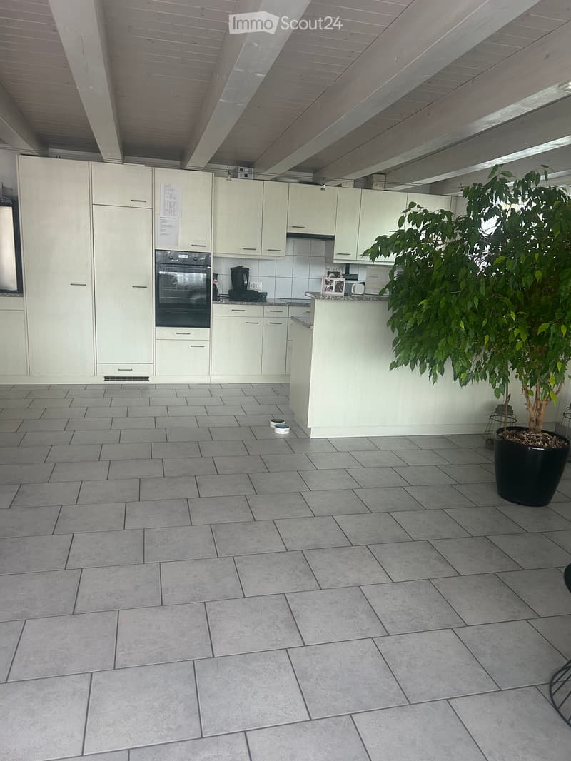 Modern kitchen with white cabinets, grey tiled floor, and a potted plant in the corner.