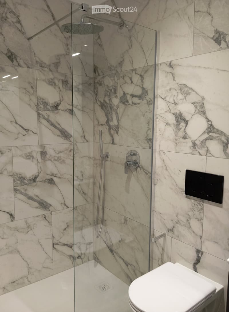 Modern bathroom with marble tiles, glass-enclosed shower, toilet, and sleek fixtures.