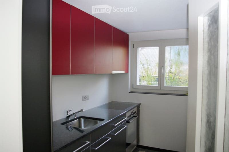 Modern kitchen with red upper cabinets, stainless steel sink, and countertop. Features a window with a view of trees outside.
