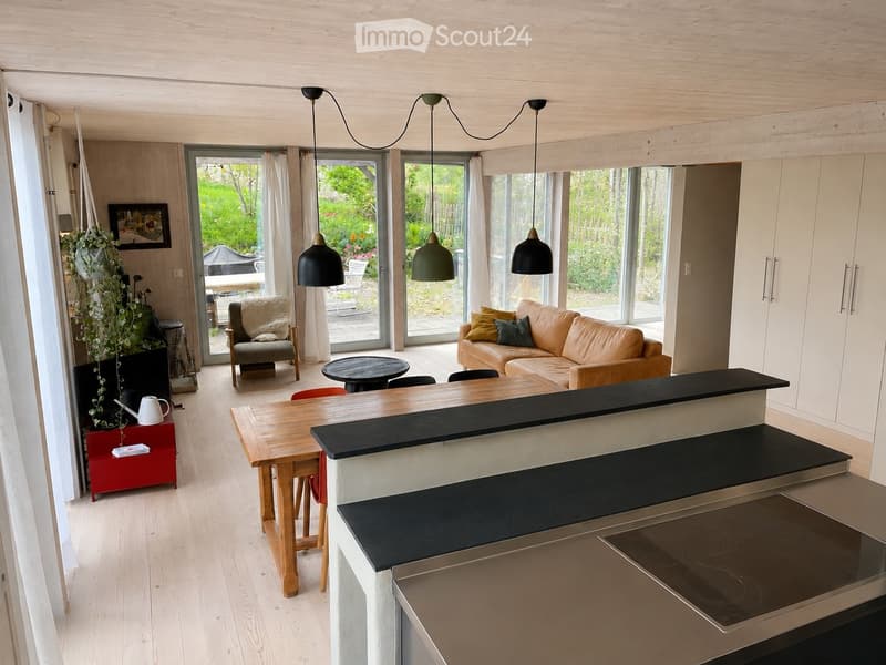 Open-plan living and dining area with a modern kitchen island, sofa, dining table, chairs, and pendant lights.
