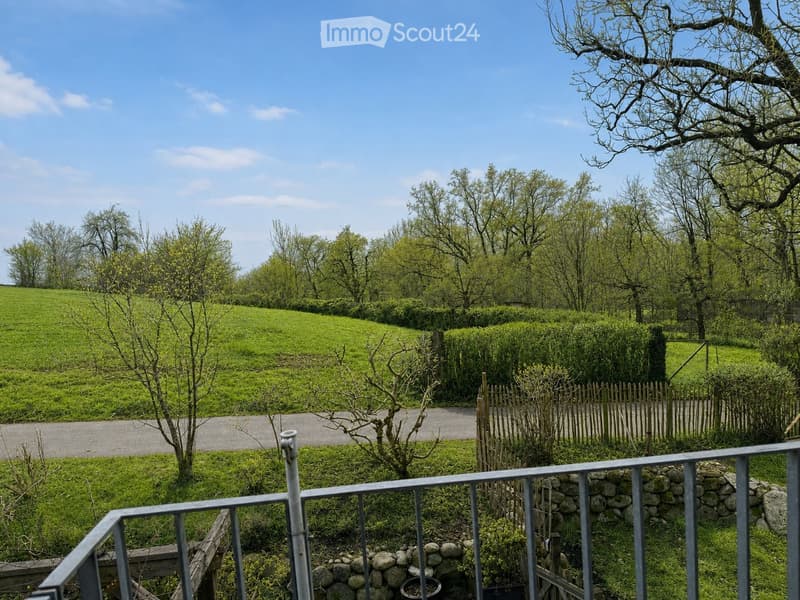 A peaceful garden area with a stone wall, metal railing, and a wooden fence, surrounded by lush green grass and trees.
