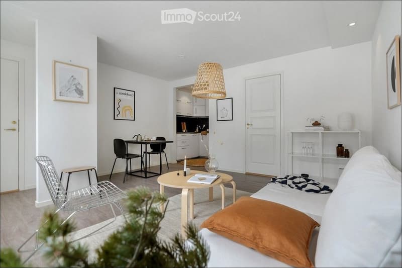 Modern living room with white walls, a white sofa with orange pillow, a round wooden coffee table, a metal wire chair, a small dining table with black chairs, a shelf with decorative items, and a hanging woven lamp.