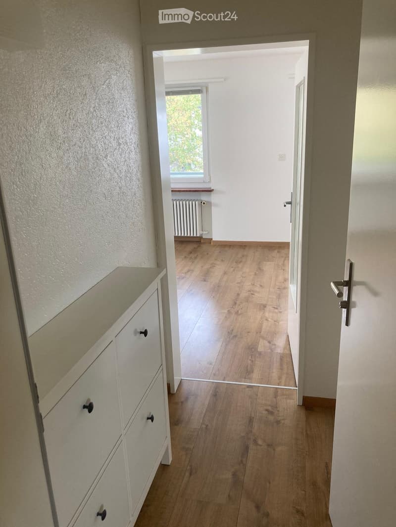 Empty hallway with wooden flooring, white walls, and a visible room at the end with a window and radiator.