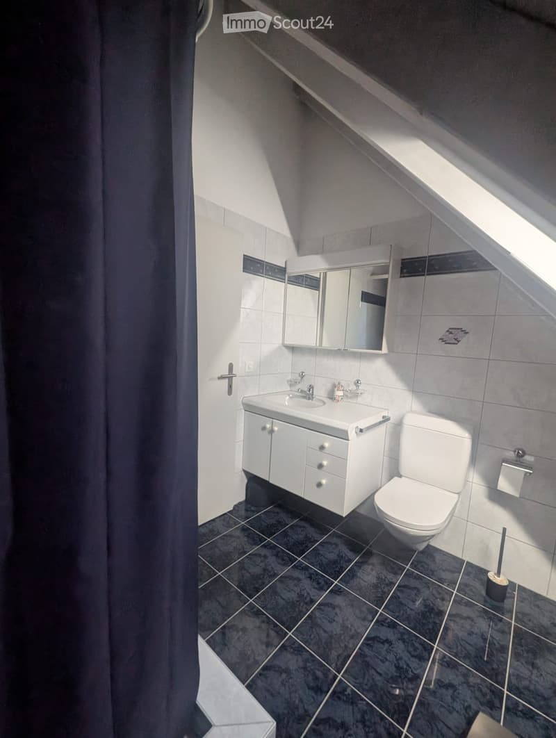Modern bathroom with dark tiled floor, white sink, toilet, and mirrored cabinet.