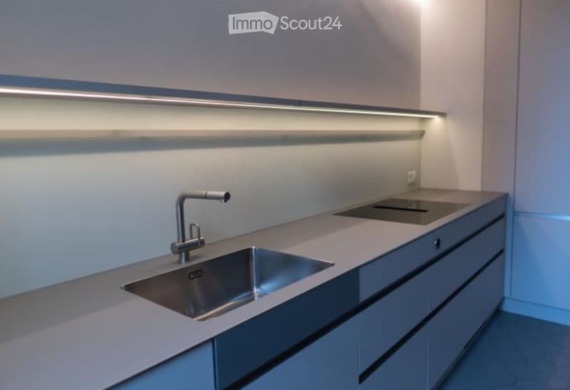 Modern kitchen with a sleek, minimalist design featuring a stainless steel sink, faucet, and built-in cabinets.