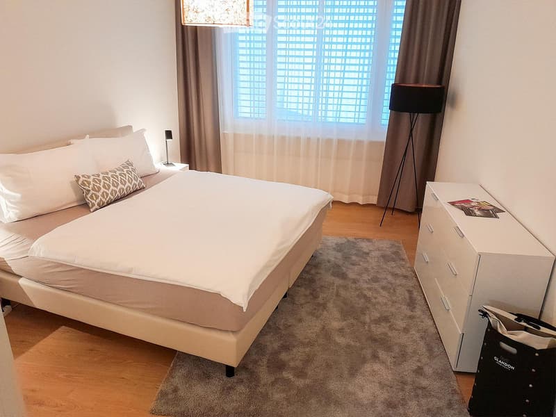Modern bedroom with a large bed, nightstand, lamp, drawer unit, and a grey rug on the floor.