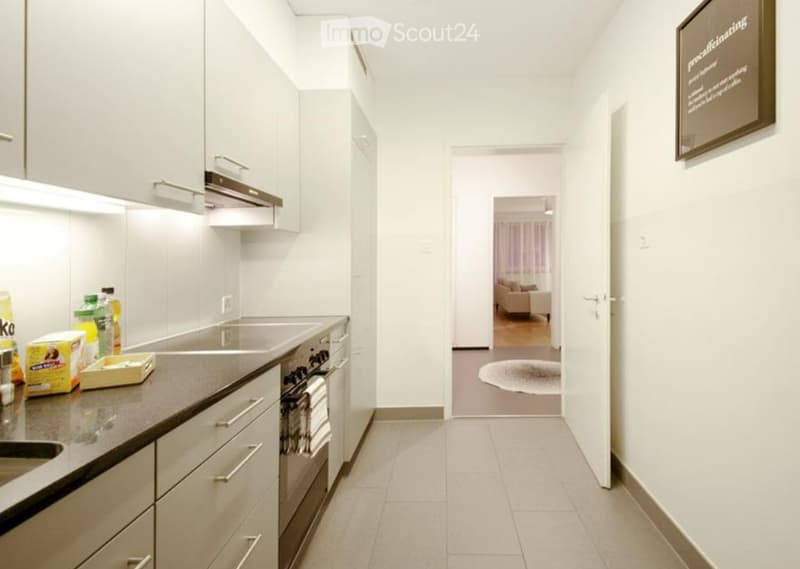Modern hallway leading to a kitchen and living area, with white walls, tiled flooring, and built-in cabinets.