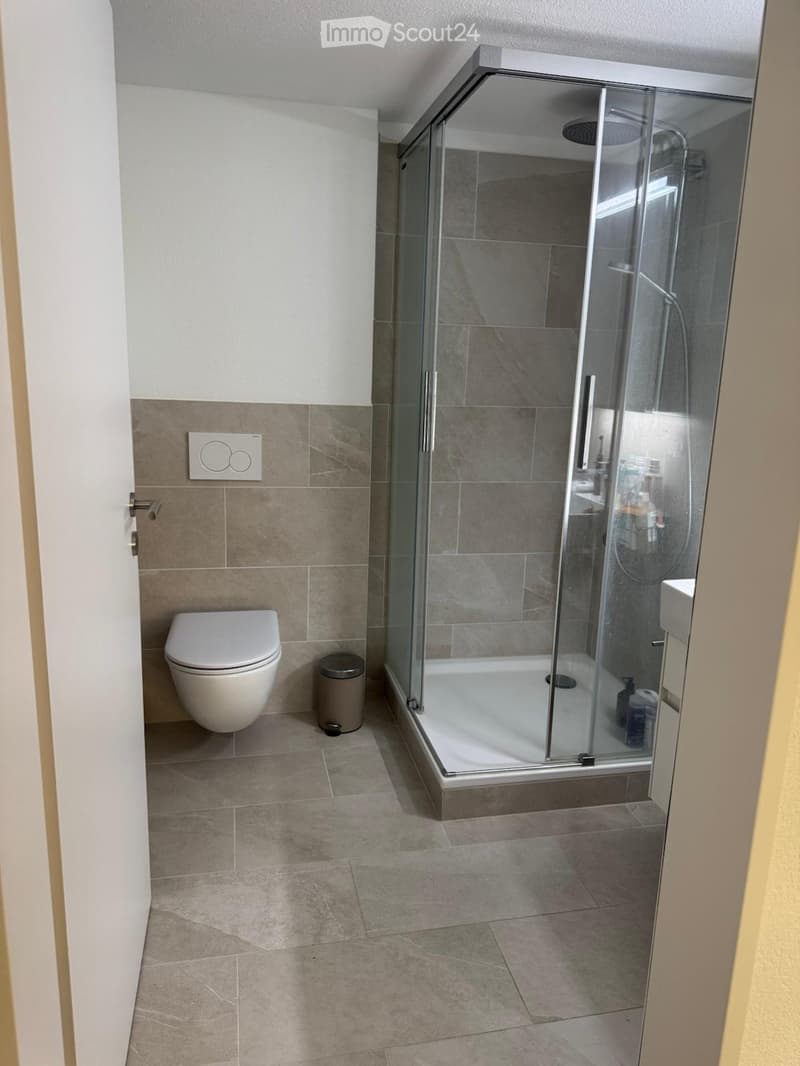 Modern bathroom with a toilet, glass-enclosed shower, and tiled walls and floor.