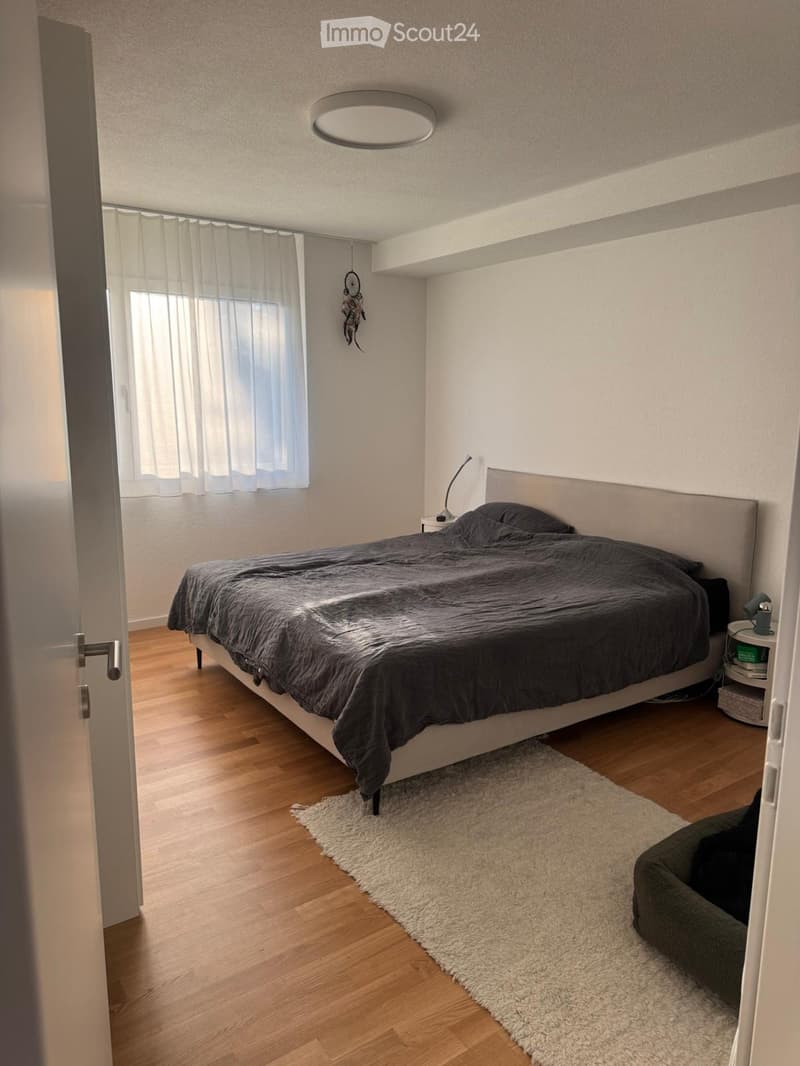 Modern bedroom with wooden flooring, a large bed with dark bedding, a nightstand with a lamp, a small white rug, and a window with sheer curtains.
