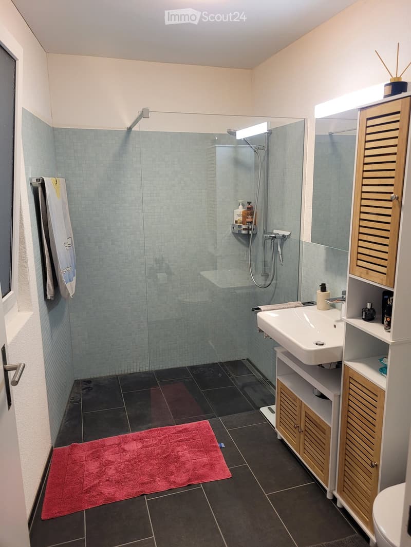 Modern bathroom with a glass-enclosed shower, a white sink, wooden cabinets, and a red bath mat on the dark tiled floor.