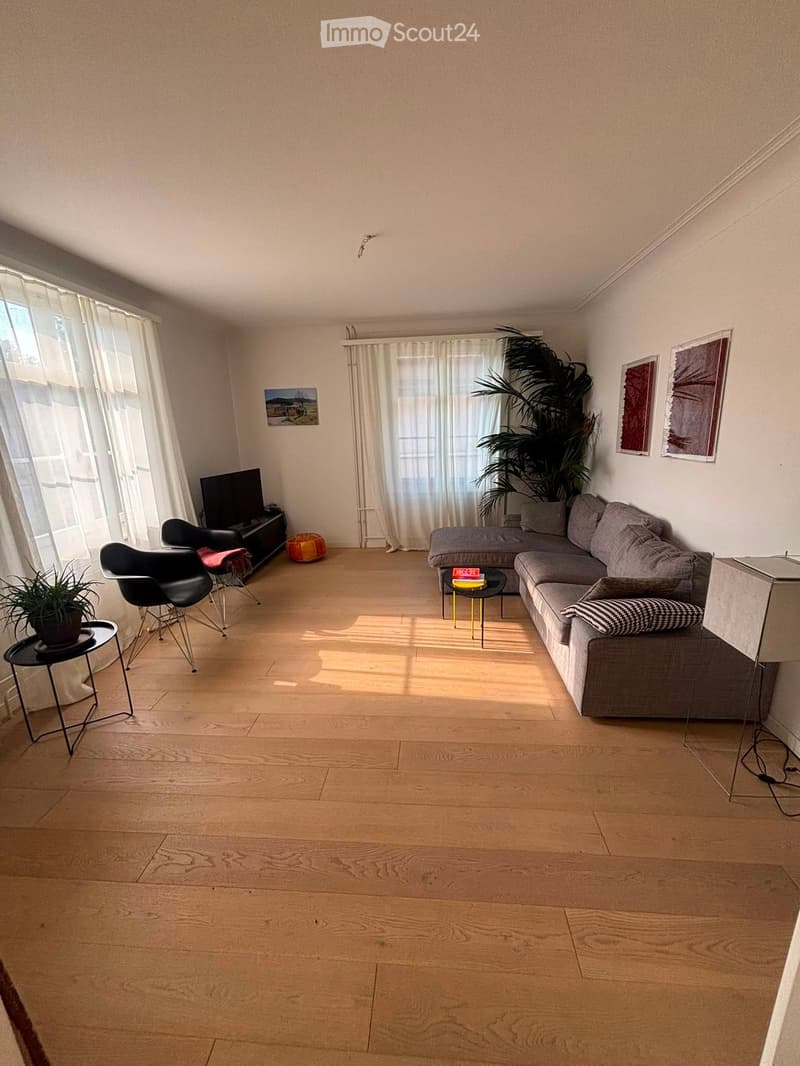 Modern living room with wooden flooring, large windows, grey sectional sofa, coffee table, chairs, and decorative plants.