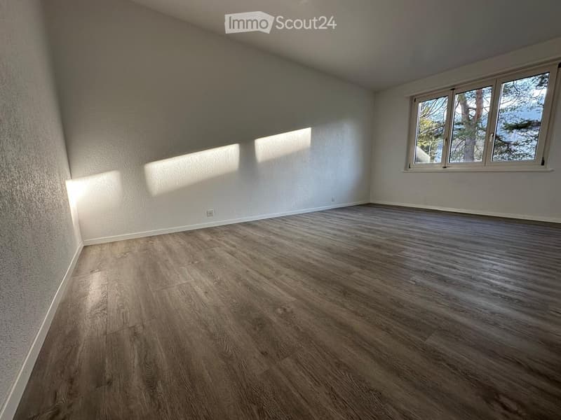 Empty room with light-colored walls and wooden flooring, featuring a large window with a view of trees.