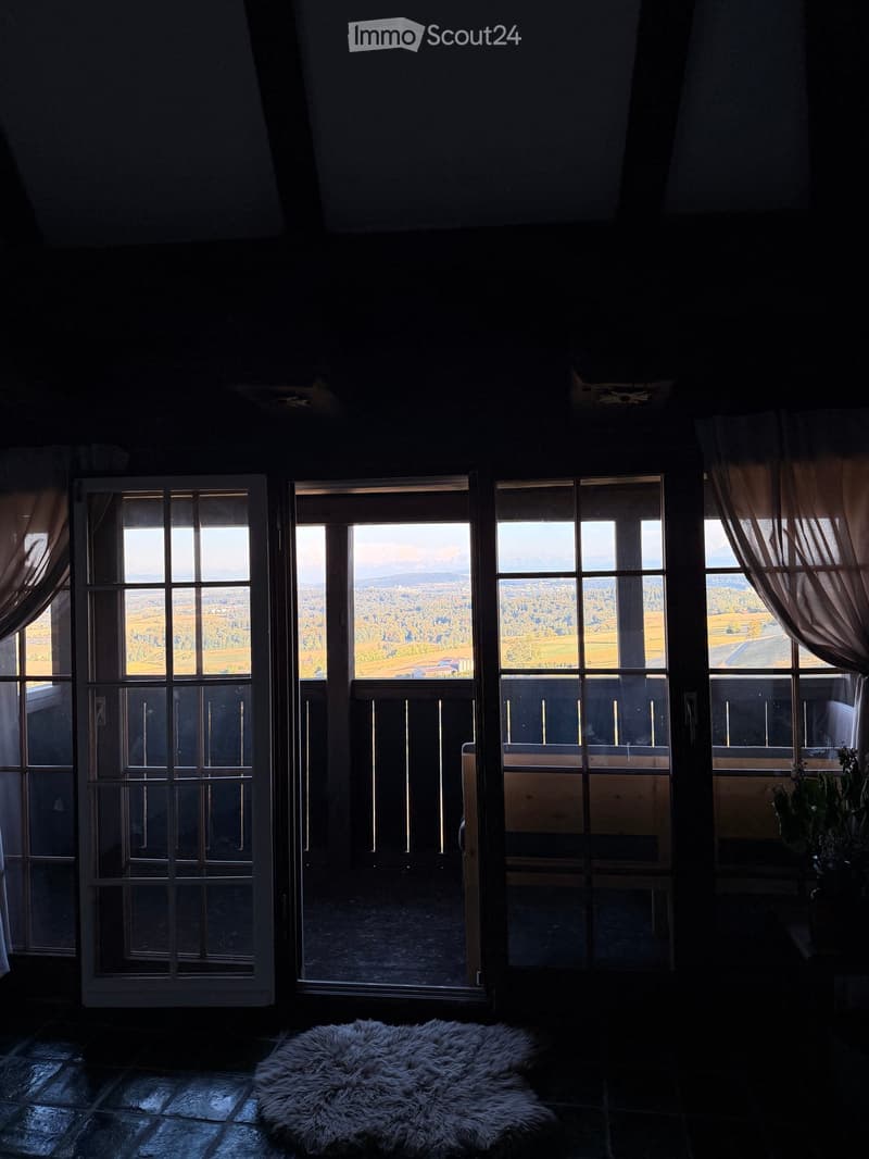 Room with large windows offering a scenic view, featuring a fur rug on the floor and a small plant near the window.