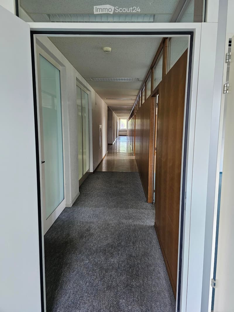 Clean, modern hallway with carpeted floor, white walls, glass-paneled doors, and wooden paneling on one side.