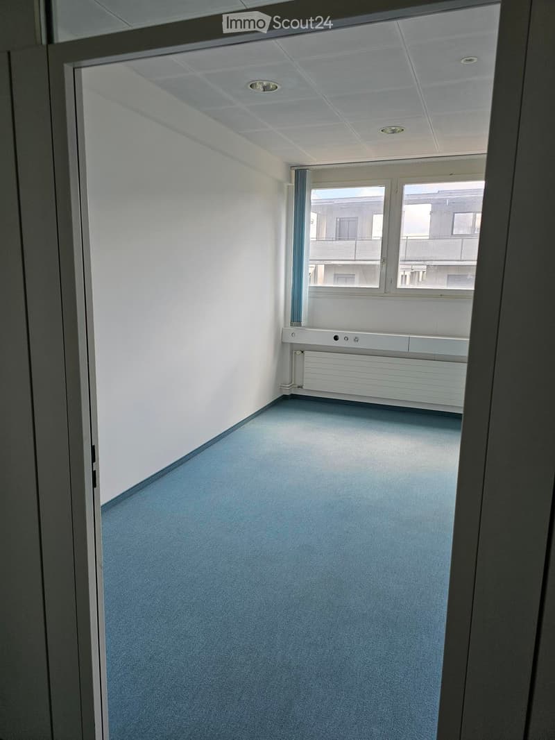 Empty room with light blue carpet, white walls, and a window with a radiator below it.