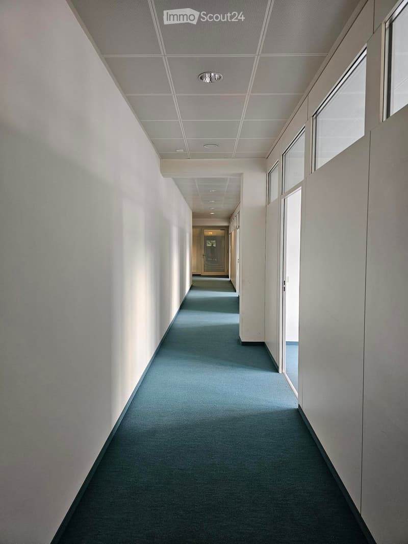 A long, narrow hallway with light-colored walls, blue carpeted flooring, and recessed ceiling lighting. The corridor features glass-paneled doors on one side and leads to another area in the distance.