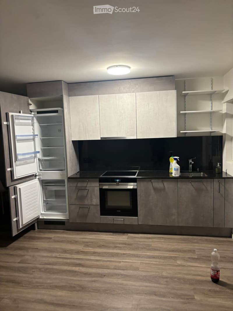 Modern kitchen with grey cabinets, stainless steel appliances, and wooden flooring. Features a refrigerator, oven, sink, and a bottle on the floor.