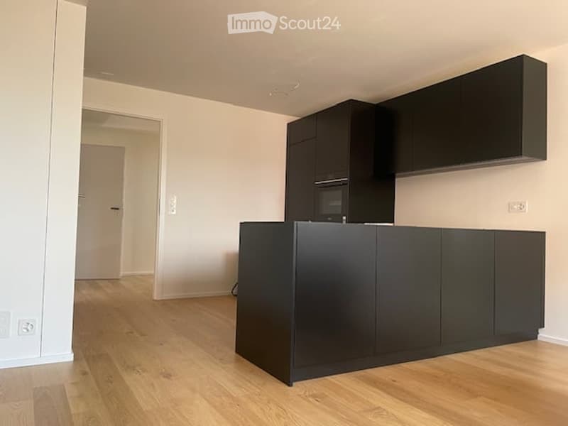 Empty kitchen with black cabinetry, wooden flooring, and a central island. No appliances or furniture are present.