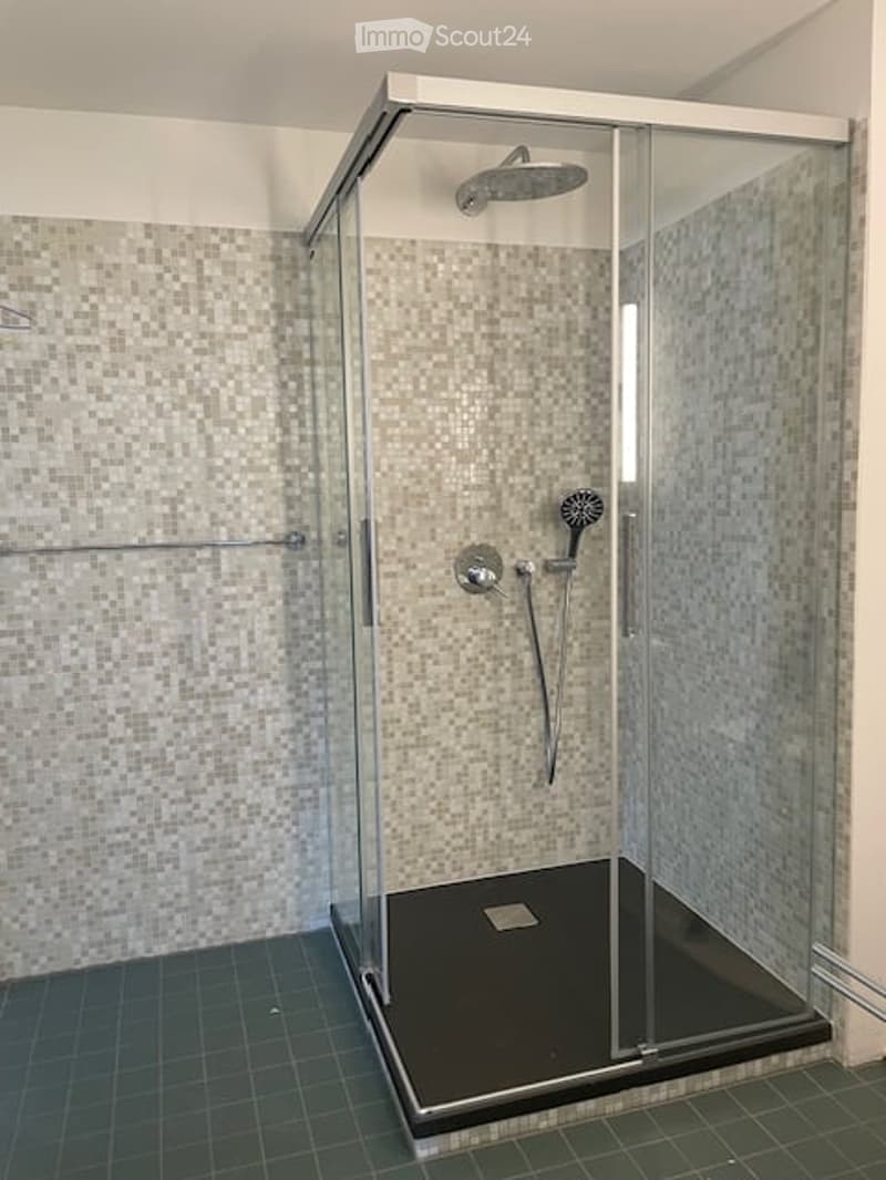 Modern bathroom with a glass-enclosed shower stall, featuring a handheld shower and a fixed showerhead, with tiled walls and a dark shower floor.