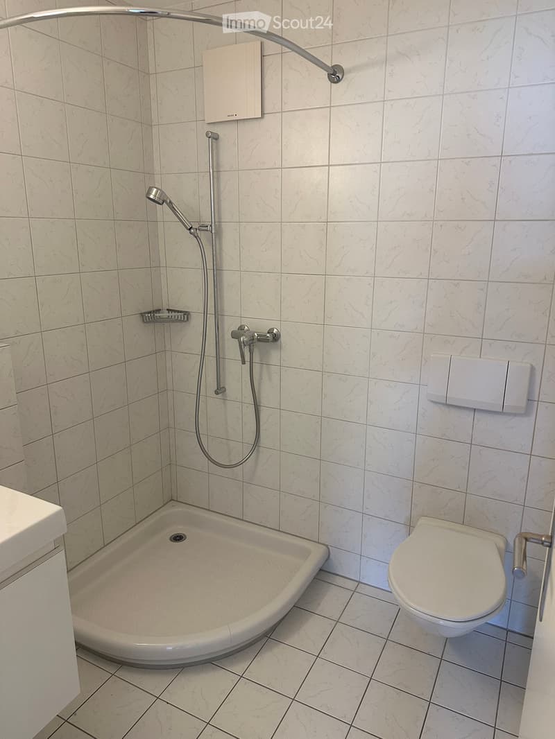 Modern bathroom with a corner bathtub, toilet, and a handheld showerhead with a curved rail. The walls and floor are tiled in a light marble pattern.