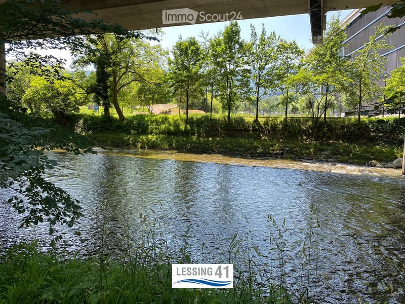 A serene river flows through a lush, green area surrounded by trees and bushes, with a modern building visible in the background.