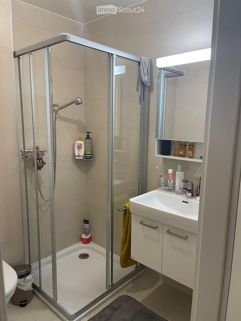 Modern bathroom with a glass-enclosed shower, a white sink with a mirror, and various toiletries neatly arranged on shelves and the sink counter.