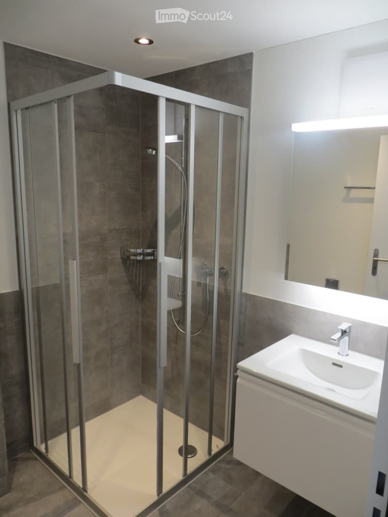 Modern bathroom with a glass-enclosed shower stall and a white sink with a chrome faucet.