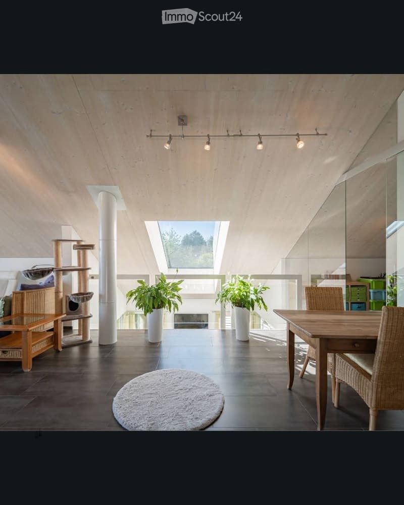 Modern, open-concept living space with exposed wooden beams, skylight, and large windows. Features a cat tree, dining table with chairs, potted plants, and a round rug.