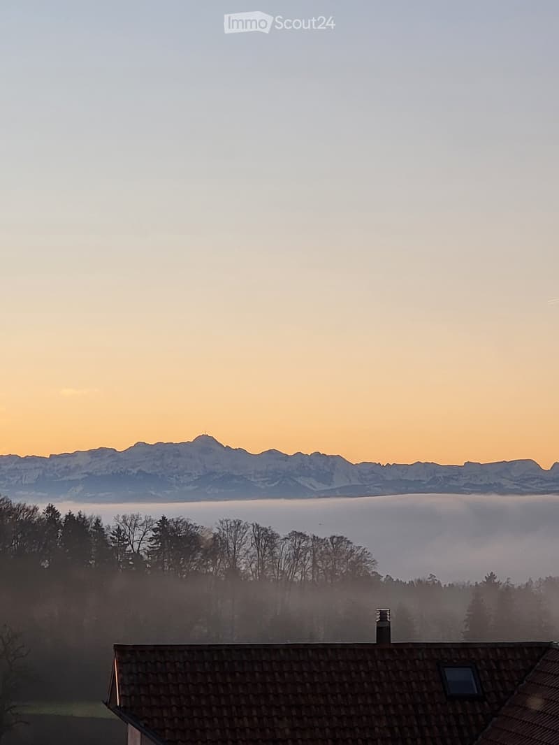Roof of a house with a chimney, surrounded by trees and a distant mountain range during sunset.