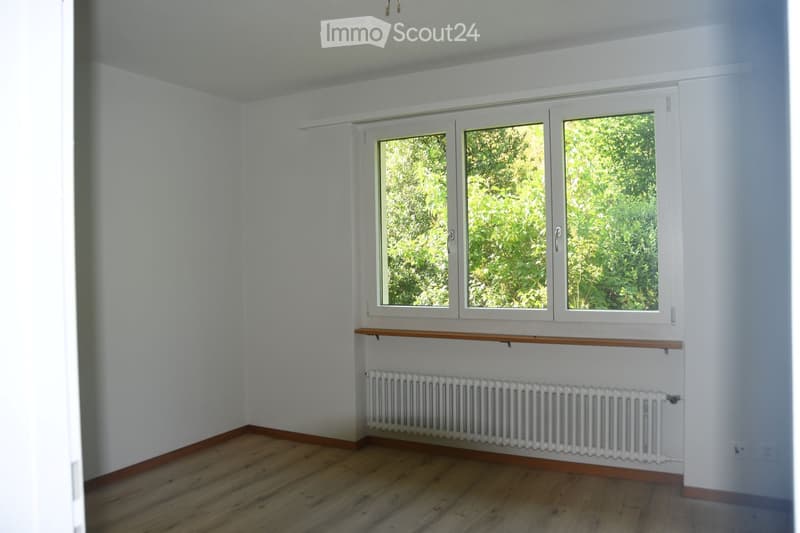 Empty room with white walls, wooden flooring, large window with white frame, radiator, and wooden shelf below the window.