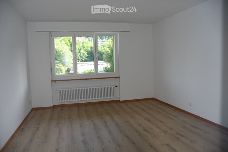 Empty room with wooden flooring, white walls, large window with white frame, radiator below window, and baseboard trim.